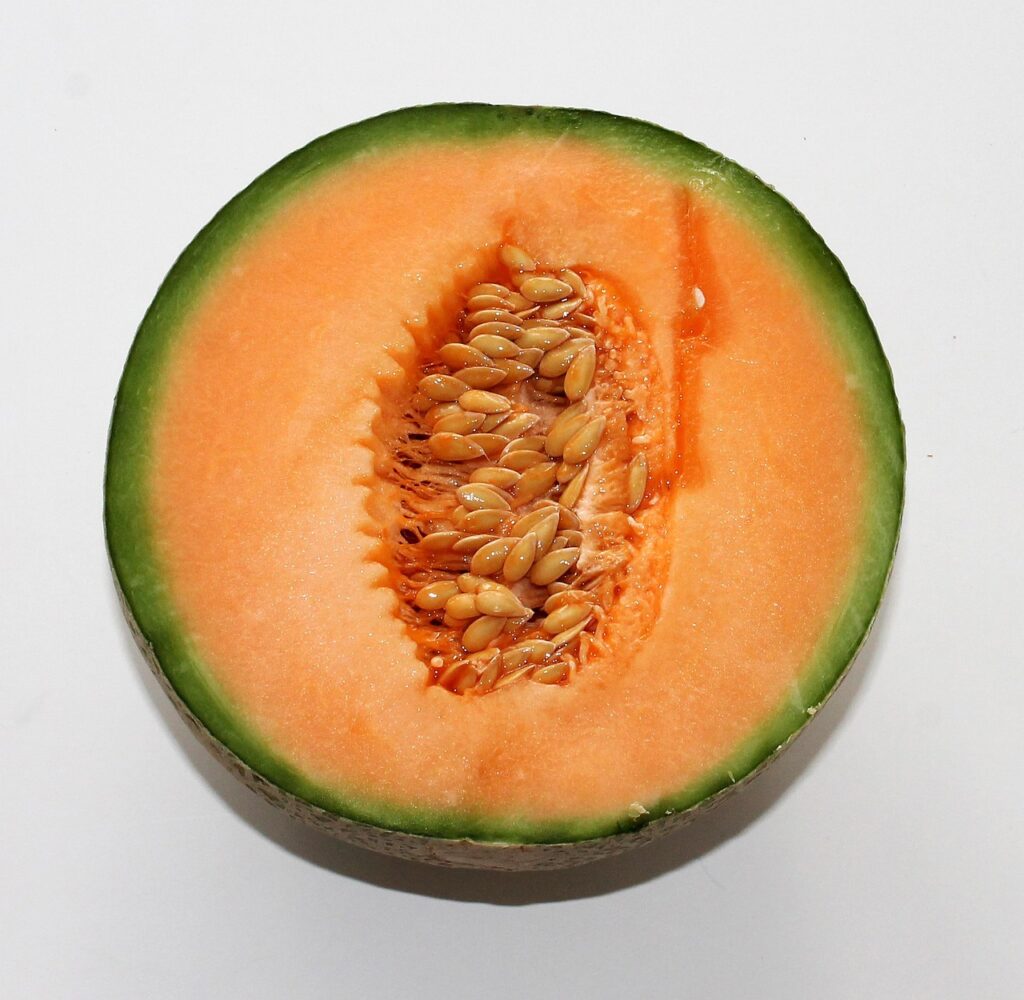 en-cas de juin melon