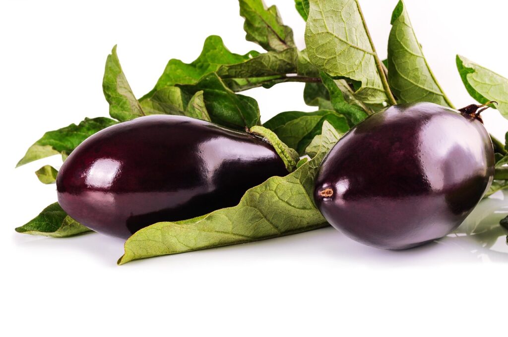 aubergine juillet