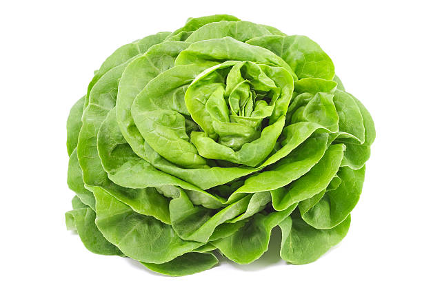recette avec laitue, juillet