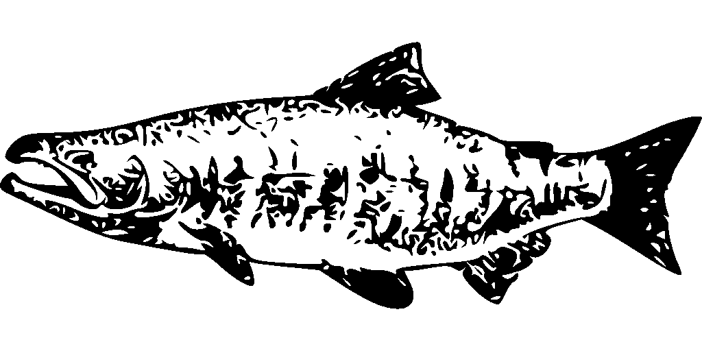 Oméga 3