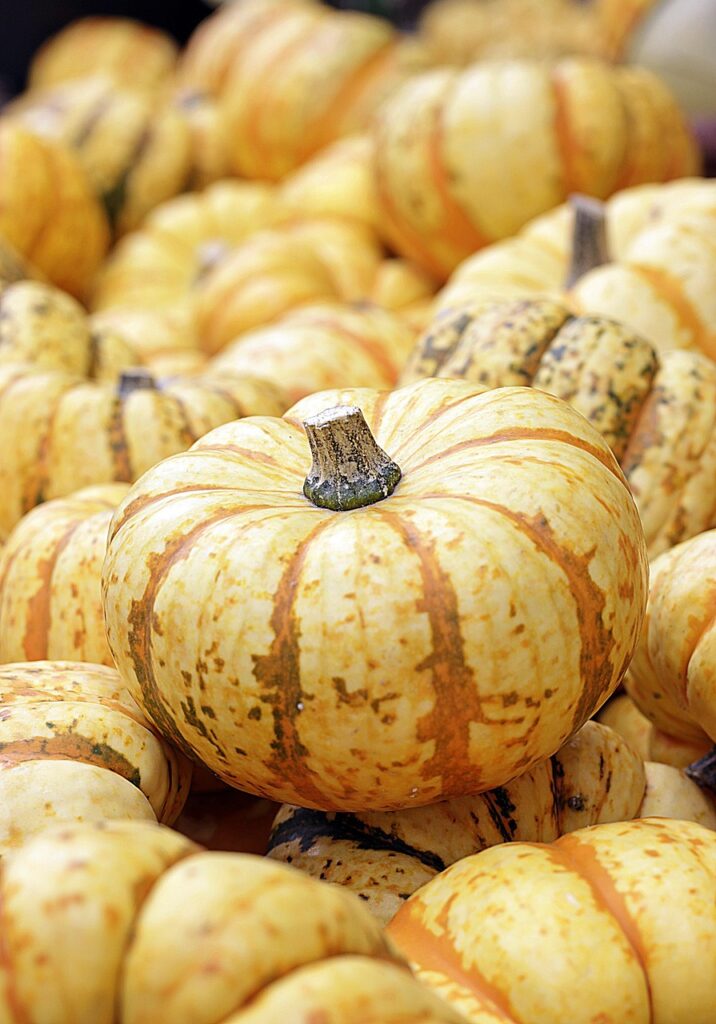 déjeuné d'automne, citrouille