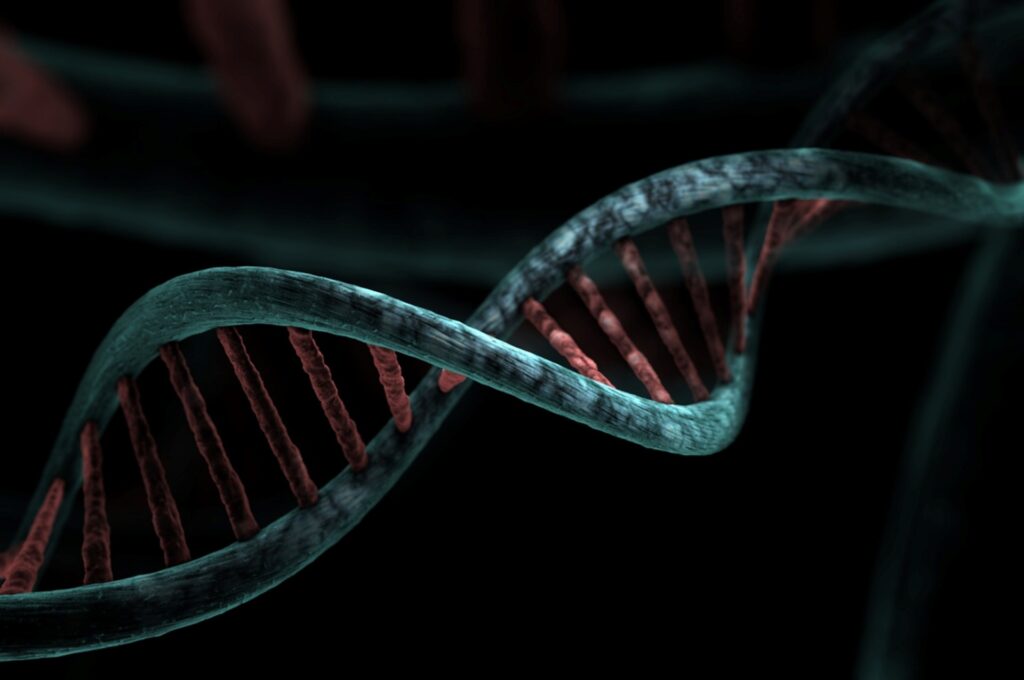 Stimuler ses cellules souches naturellement